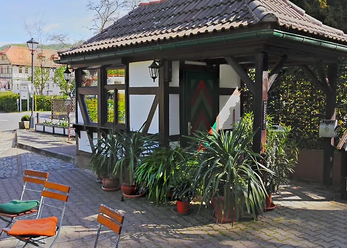 מלון Zum Buergergarten 3*